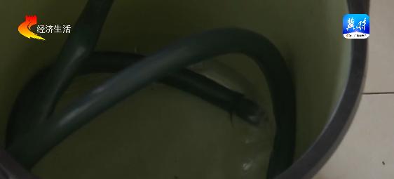 DƬ